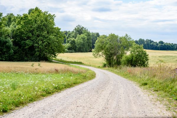 Stone Driveway Repair in North Ridgeville